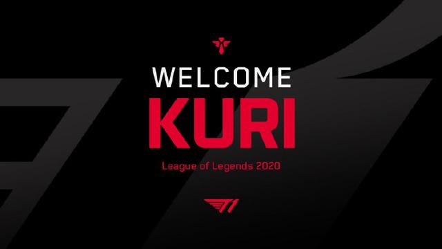 念形成了鲜 念形成了鲜