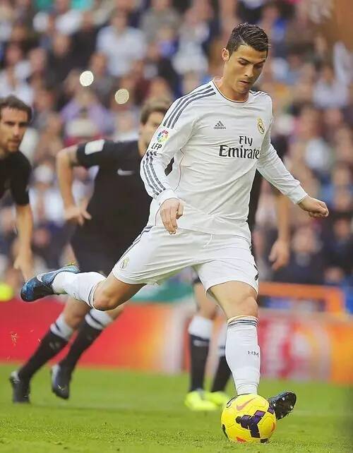 风险与纪律 风险与纪律